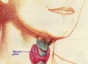 ThyroidImage