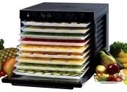 Tribest-sedona-dehydrator
