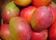 mango3
