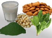 veggie-protein