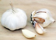 Garlic