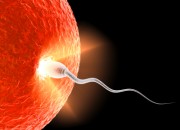 conception_0