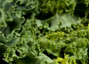 kale-hero