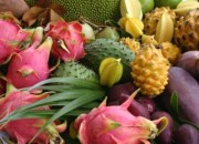 tropical-fruit-52