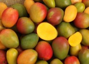 Foodservice_Content_SelecitonStorageAndRipening
