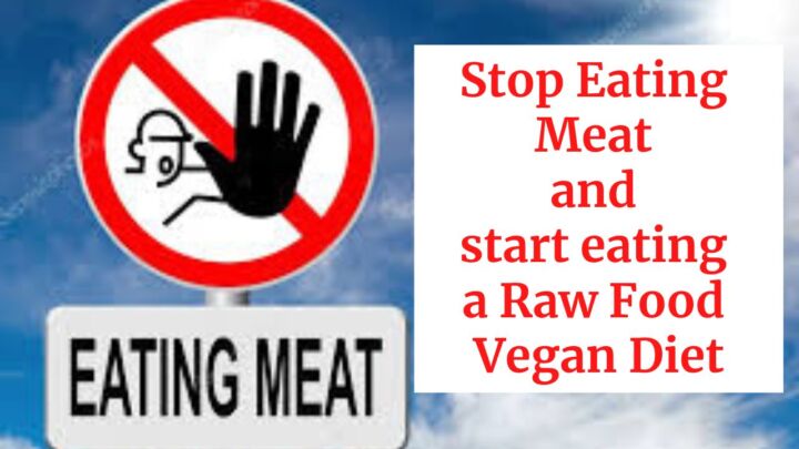 Stop Eating Meat and Start Eating a Raw Food Vegan Diet