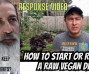 How to Start or Resume a Raw Vegan Diet if You Get Off Track
